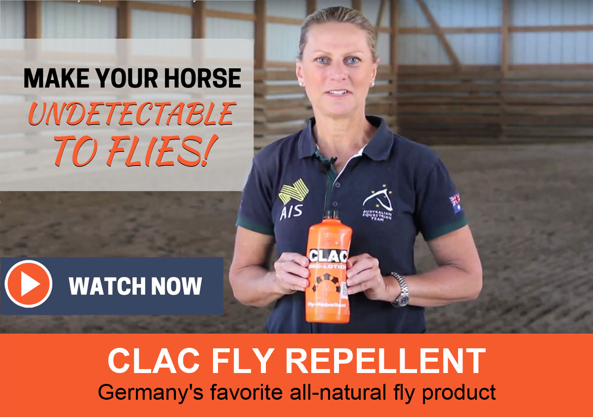 CLAC: Stop the Fly Drama