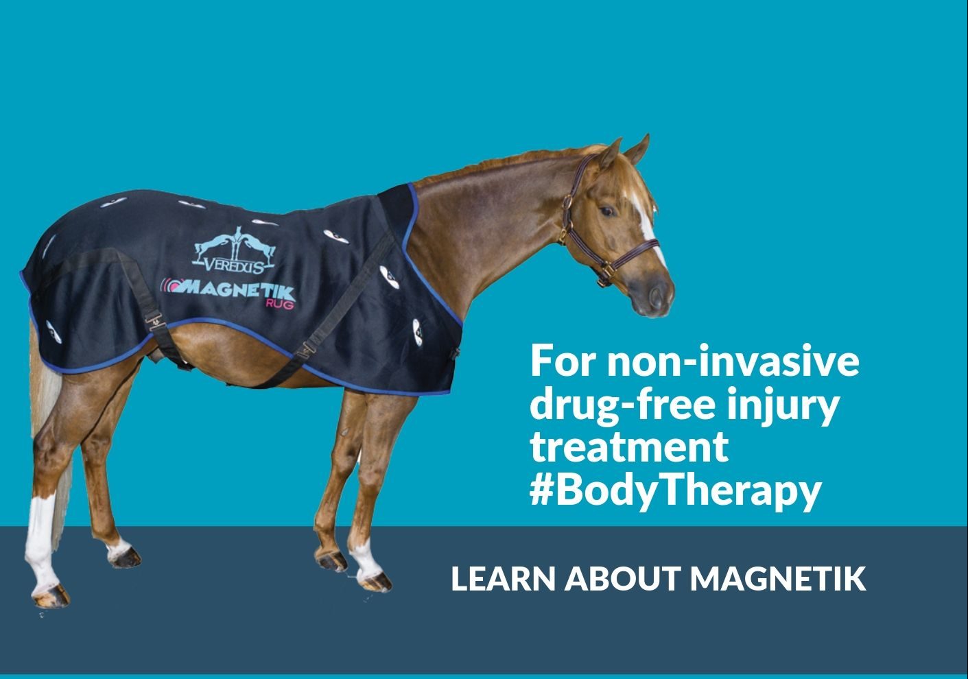 Magnetic Therapy for Horses