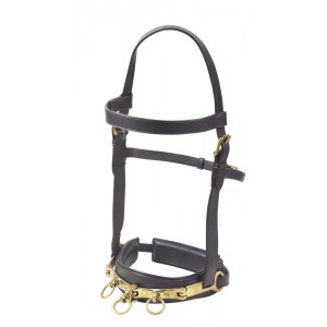 Camelot® Leather Lunging Cavesson