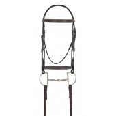 Elite Collection- Fancy Raised Comfort Crown Padded Bridle with Fancy Raised Laced Reins