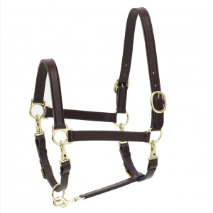 Ovation® 4-Way Leather Grooming Halter