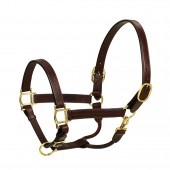 HK Americanan Triple Stitched Leather Halter- 1 Inch Wide